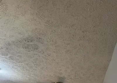 Affordable Ceiling Removal
